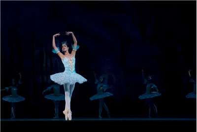 Ballet Pointe Technique